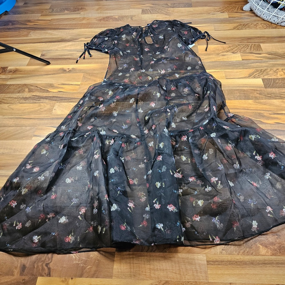 Sheer Black Floral Maxi Dress with Tie Sleeves